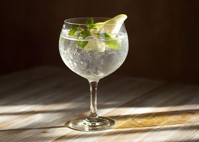 Gin and Tonic Recipe??Gin and Tonic Recipe